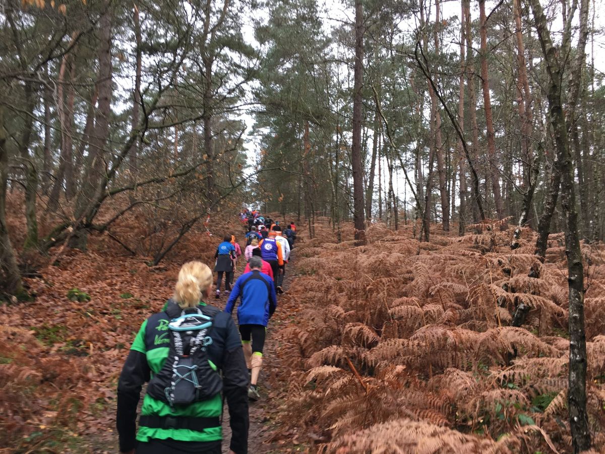 Trail de Senlis
