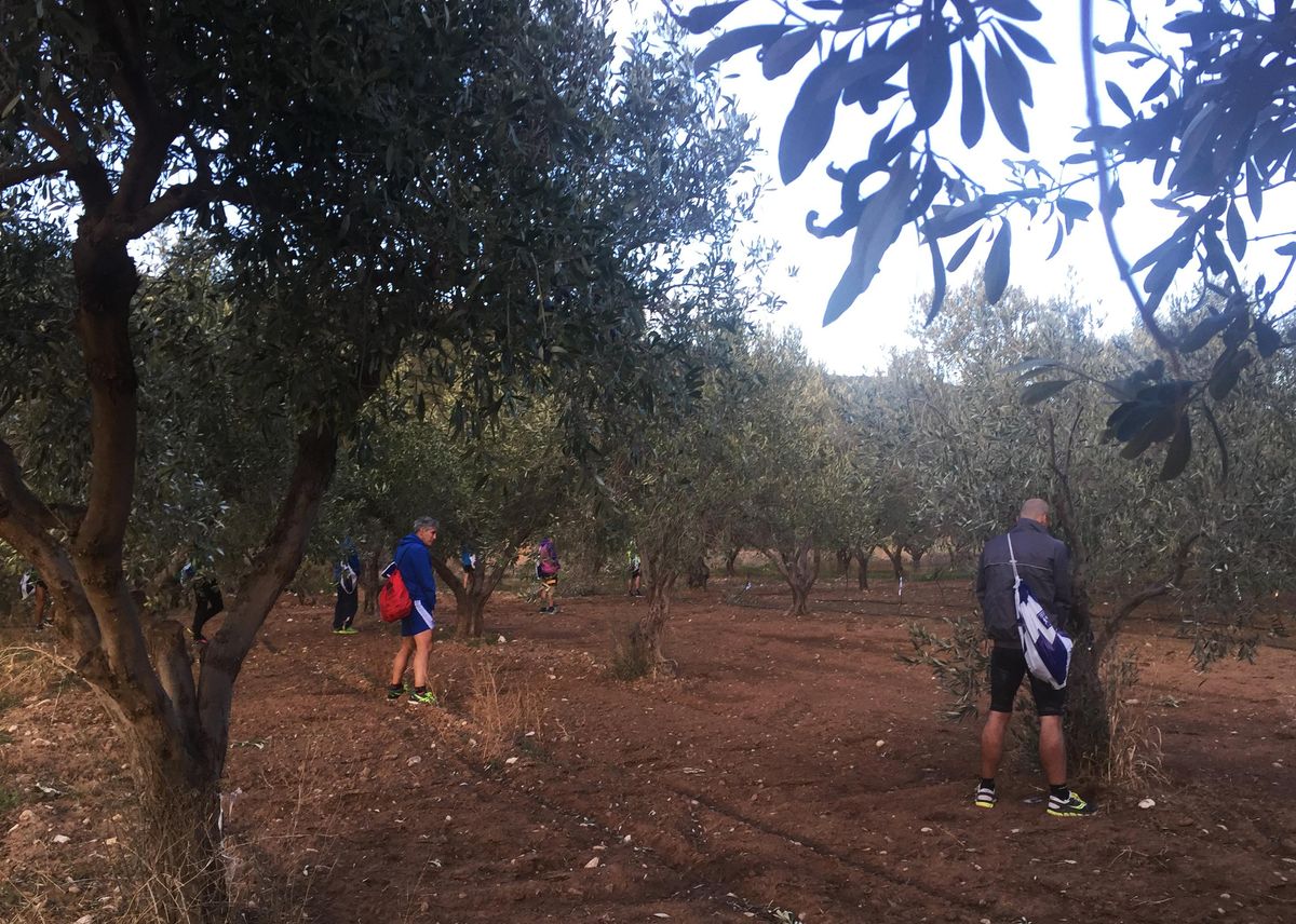 Athens Marathon