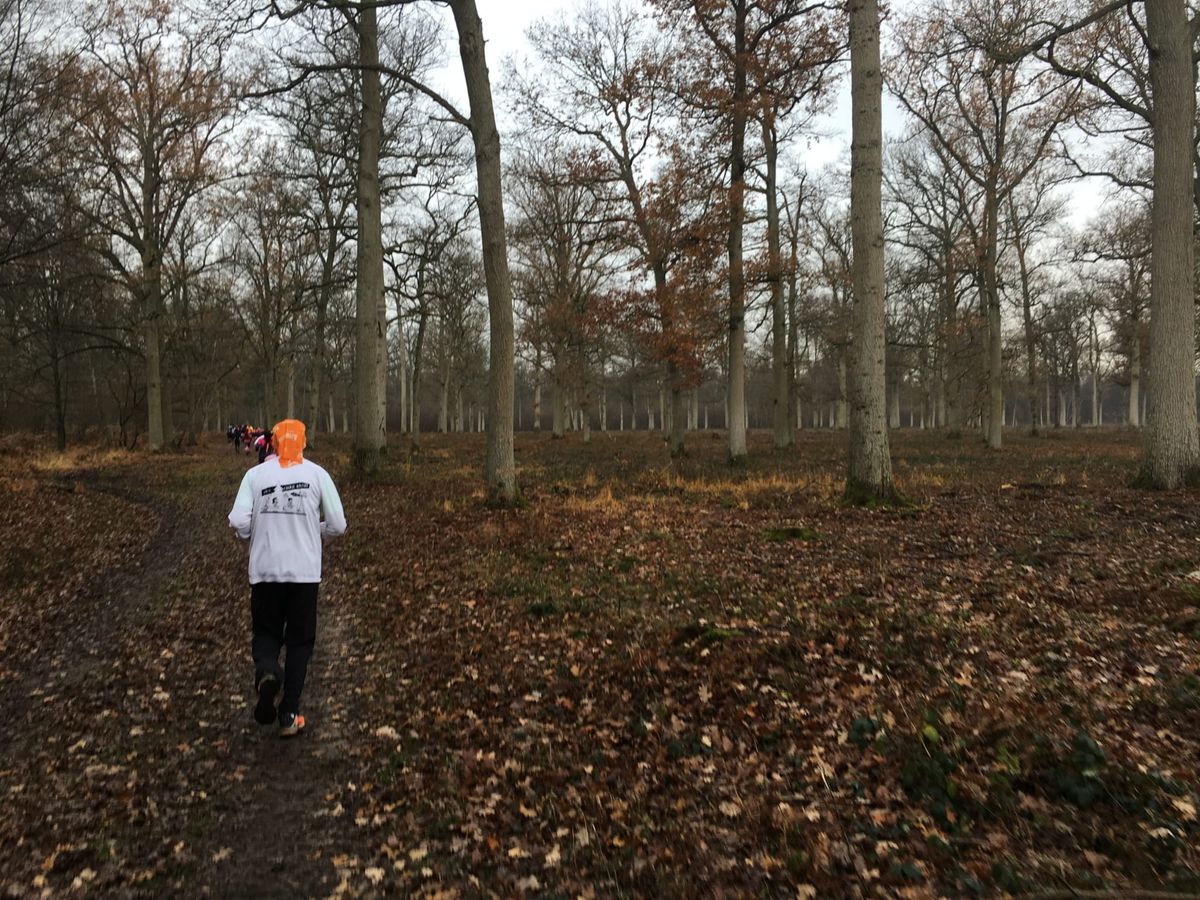 Trail de Senlis