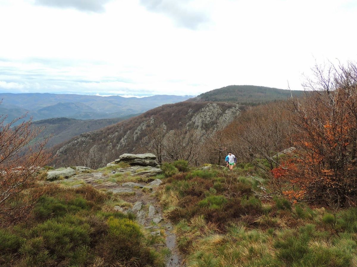 Trail