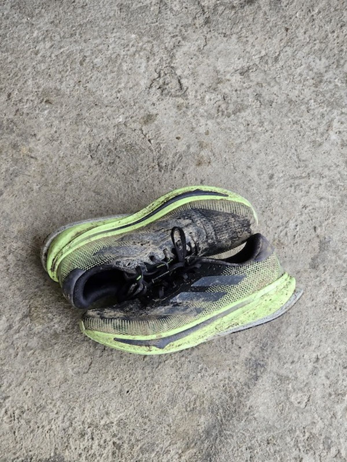 adidas running supernova rise