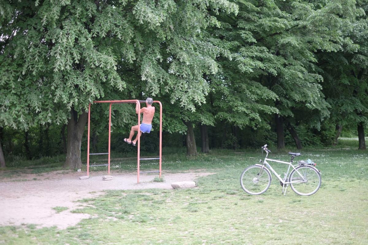 Muscu - Belgrade