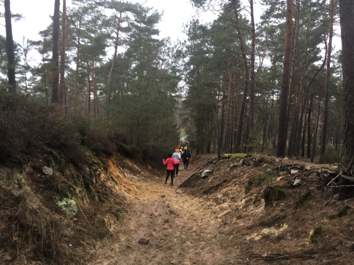 Trail de Senlis