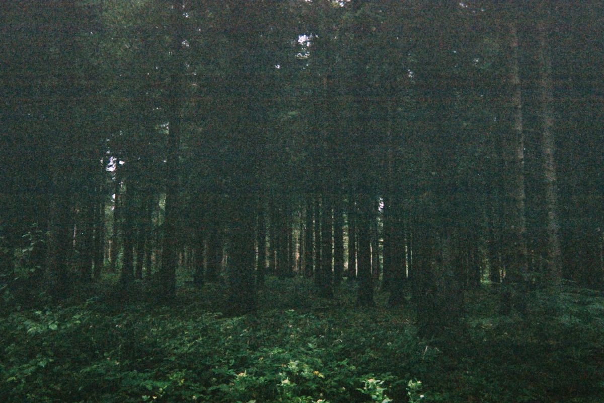 CNV00008_edit