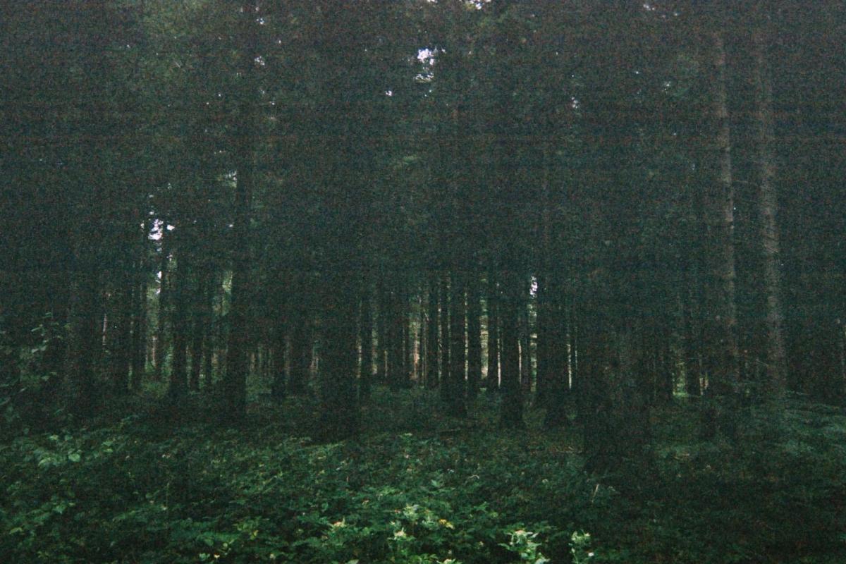 CNV00008_edit