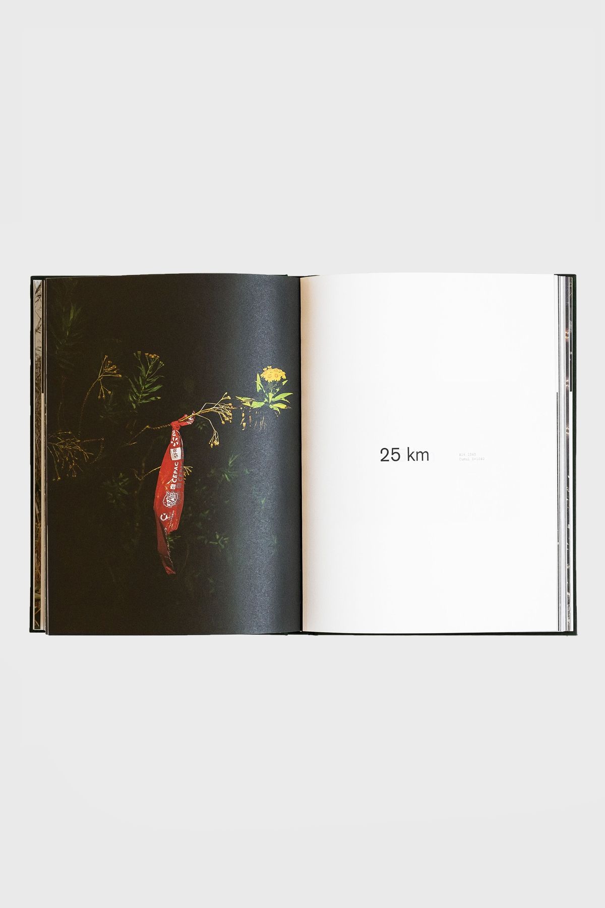 FOU - DISTANCE BOOK SERIES 2