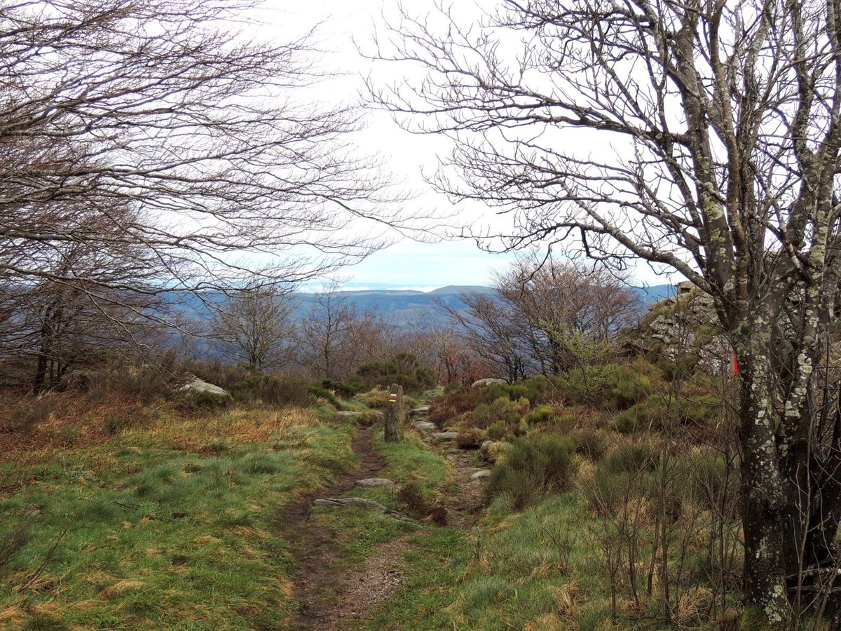 Trail