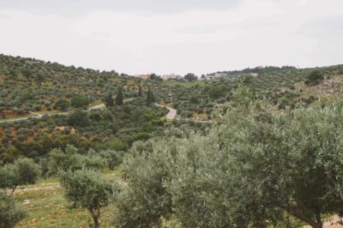 By the Laith Matarweh, 2023, Badr Al-Jadeedah, Amman, Jordan By the Laith Matarweh, 2023, Badr Al-Jadeedah, Amman, Jordan