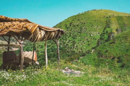 ‘Instinctive Architecture’. Taken on 30.03.2024 in Irbid, Jordan/ Wadi al-Rayyan.

