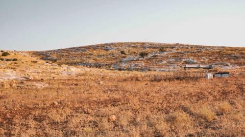 People, cattle, rocks, shrubs, and trees are found existing with one another, not rivaling or interrupting each other, neither in scale nor in their mere existe... People, cattle, rocks, shrubs, and trees are found existing with one another, not rivaling or interrupting each other, neither in scale nor in their mere existe...