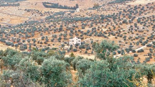 By the Laith Matarweh, 2023, Zabda, Amman, Jordan By the Laith Matarweh, 2023, Zabda, Amman, Jordan