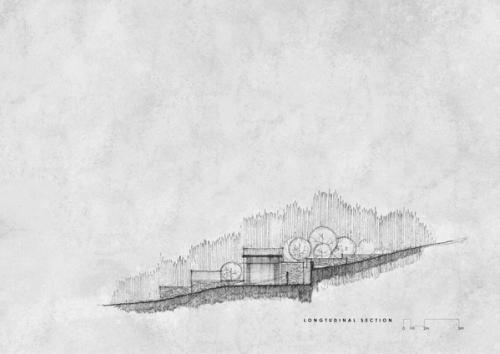 Cross Section