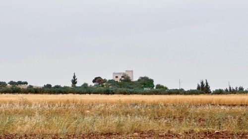 By the Laith Matarweh, 2023, Zabda, Amman, Jordan By the Laith Matarweh, 2023, Zabda, Amman, Jordan