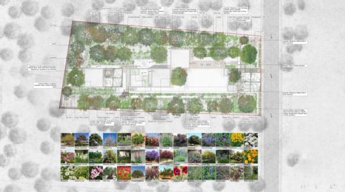 Softscape Layout Softscape Layout