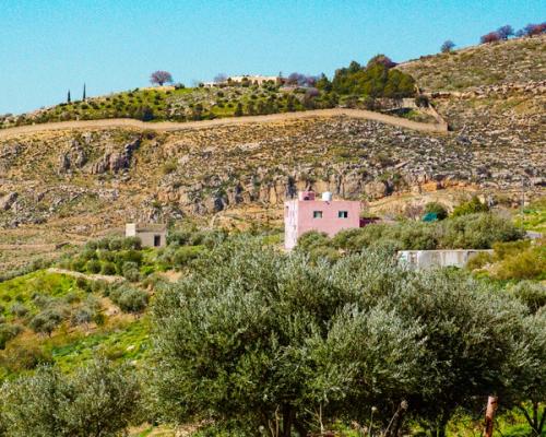 By the Laith Matarweh, 2020, Wadi Al-Sheta, Amman, Jordan By the Laith Matarweh, 2020, Wadi Al-Sheta, Amman, Jordan
