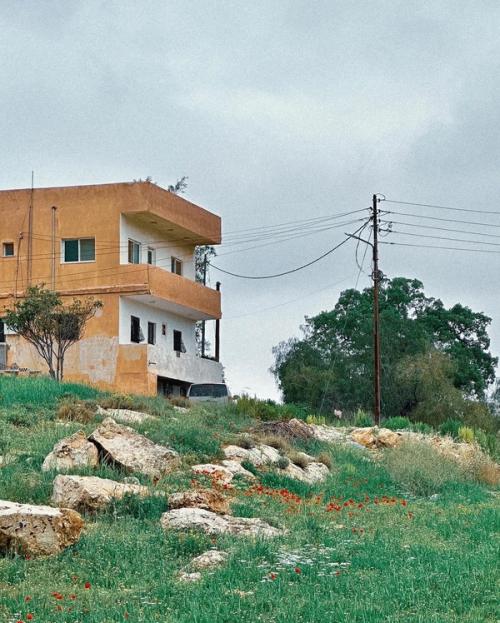 By the Laith Matarweh, 2025, Zabda, Amman, Jordan By the Laith Matarweh, 2025, Zabda, Amman, Jordan