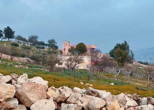 By the Laith Matarweh, 2023, Iraq Al-Amir, Amman, Jordan By the Laith Matarweh, 2023, Iraq Al-Amir, Amman, Jordan
