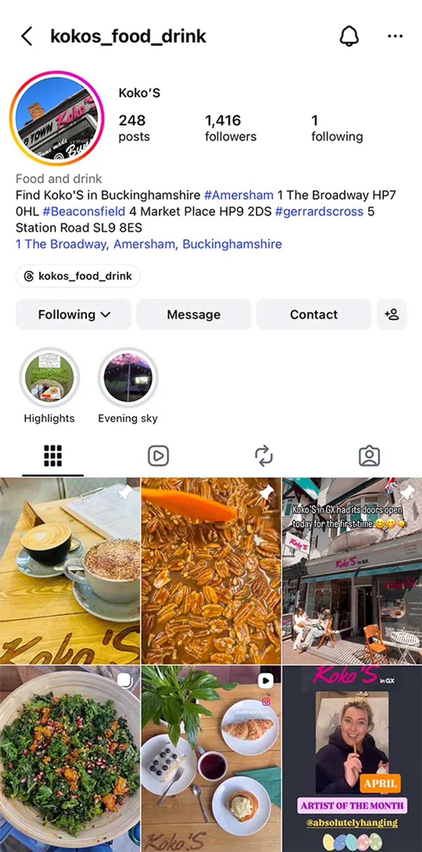 Koko’S Instagram mobile feed preview