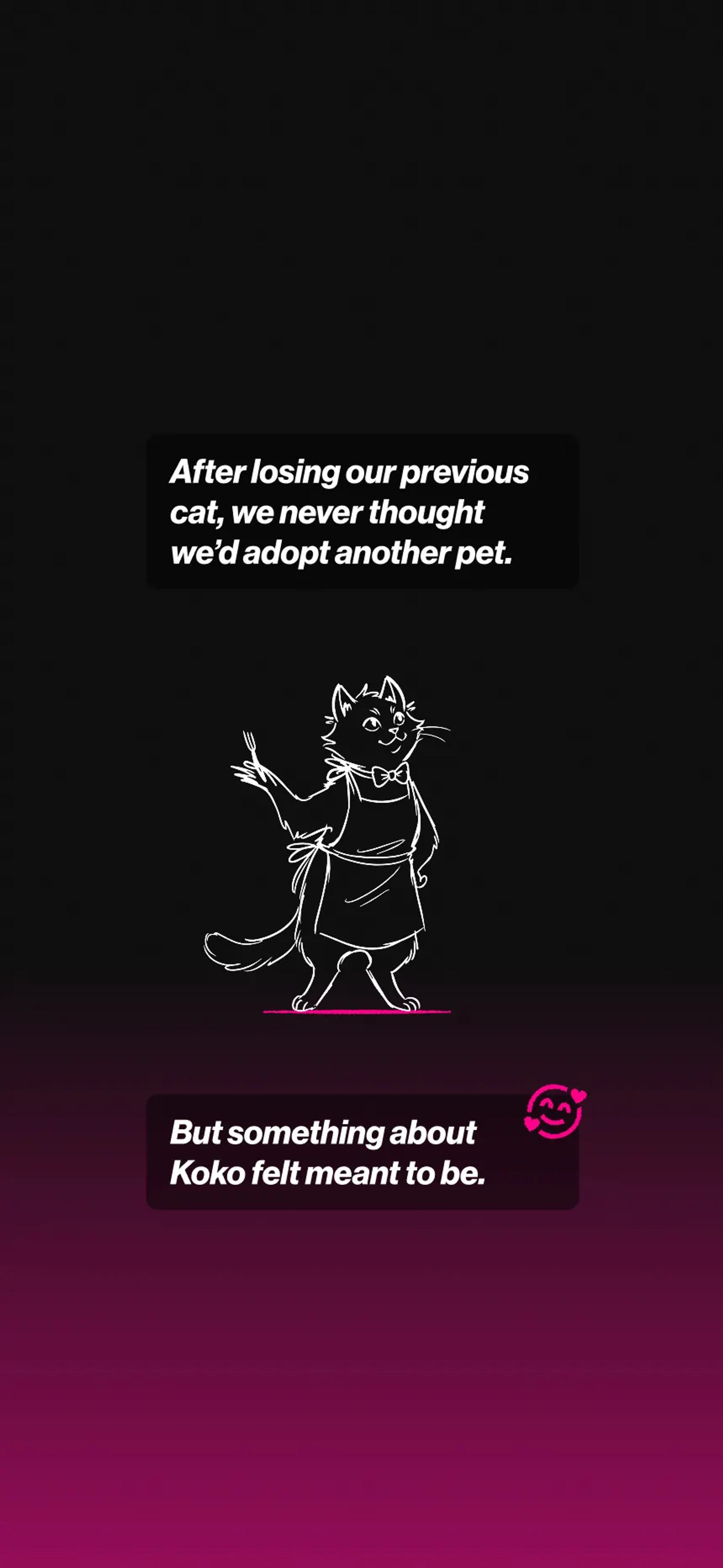 Koko’S story image 3