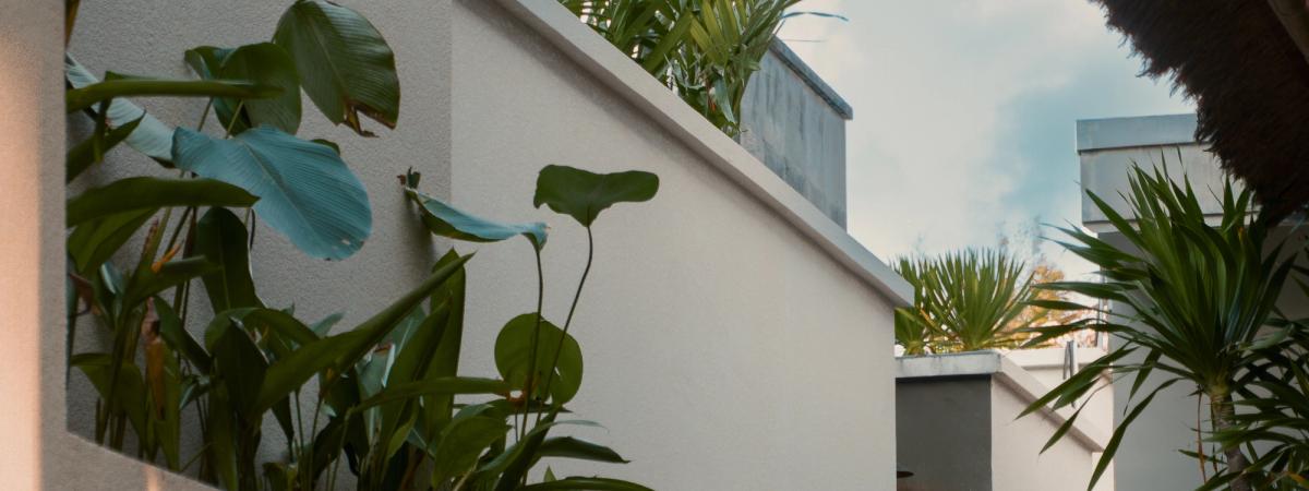 The Beauty of Using What's Already There