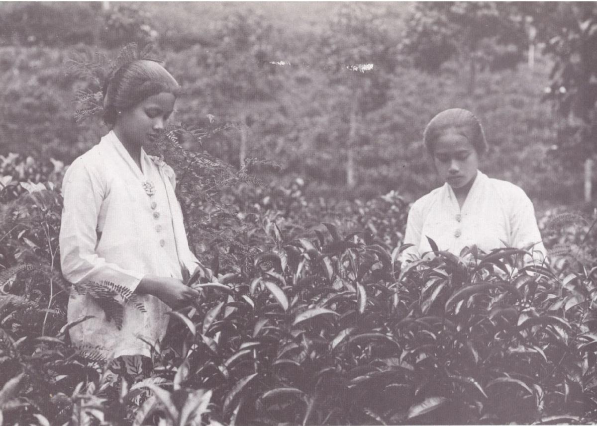 Dutch East India Company Era