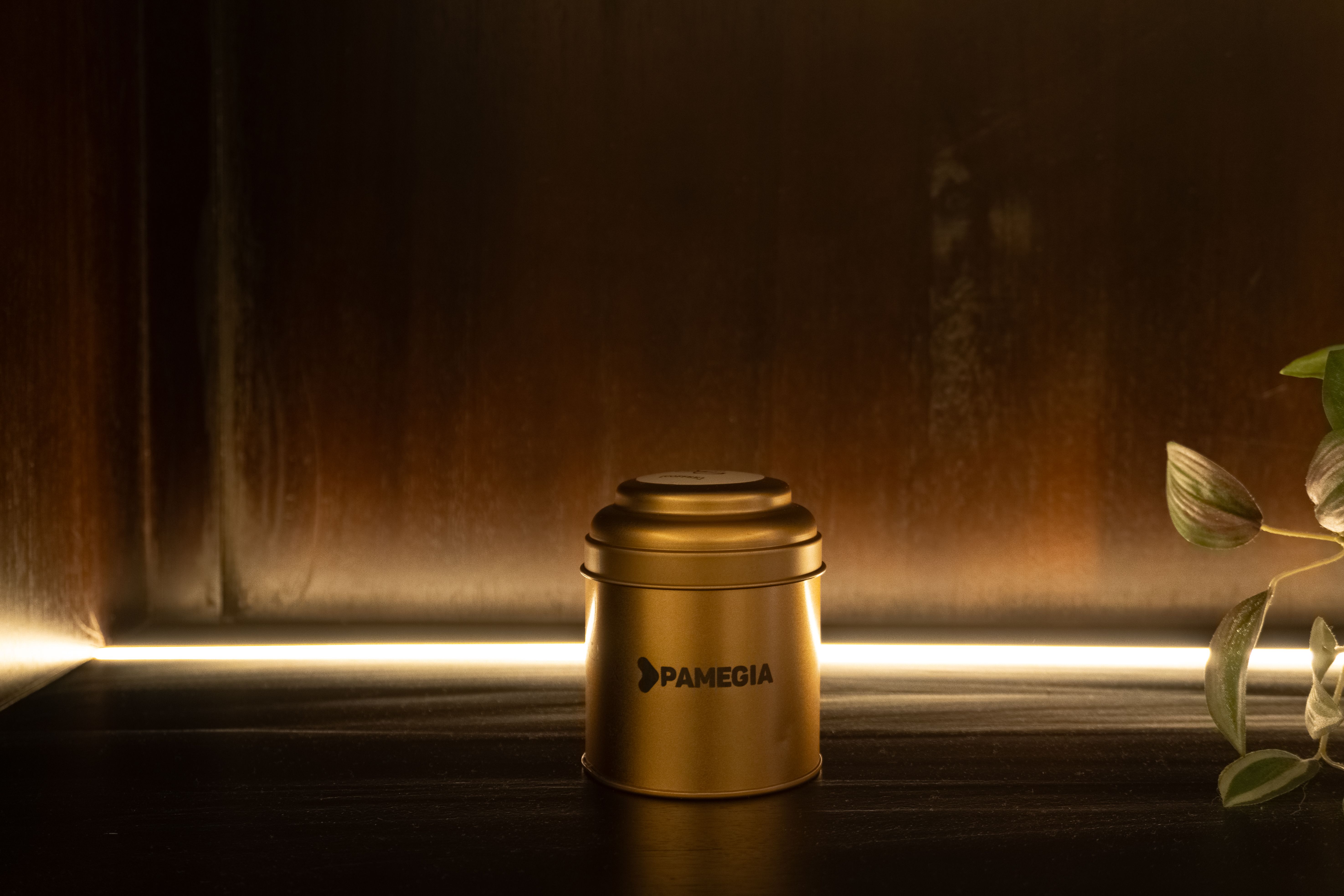 Pamegia Coffee @ Aruni Villa