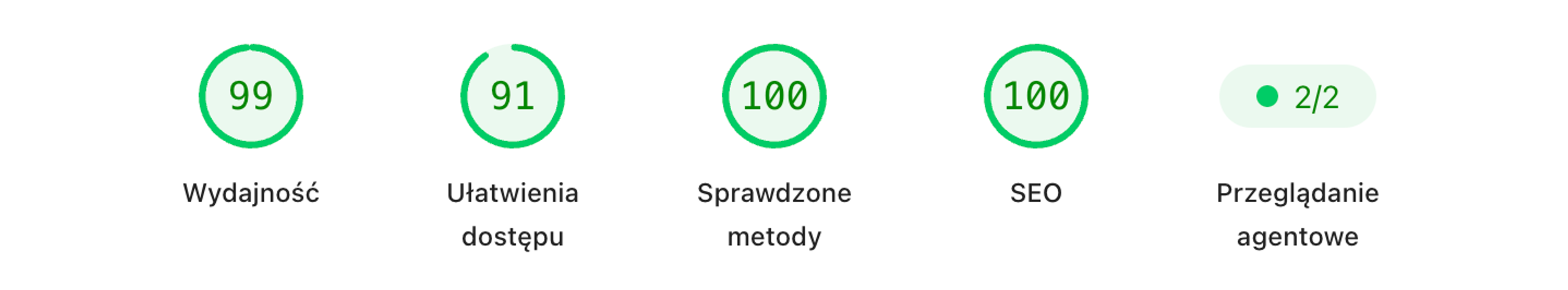 Wyniki Google PageSpeed Insights