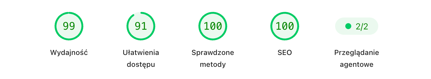 Wyniki Google PageSpeed Insights