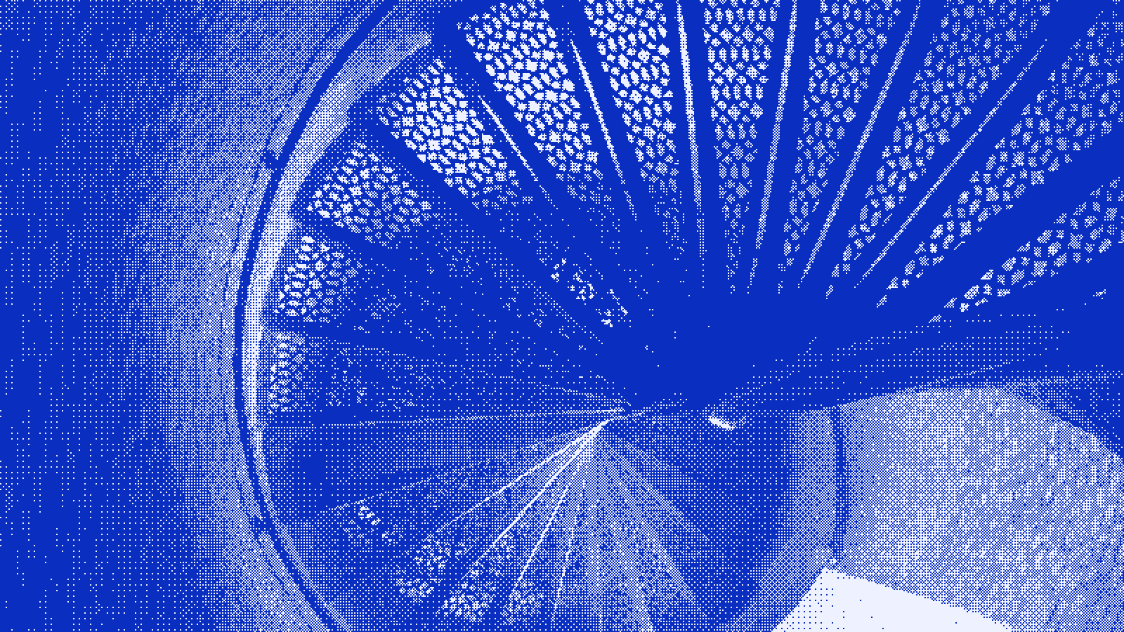 Looking down the well of a lighthouse's spiral staircase, treads radiating around the centre.