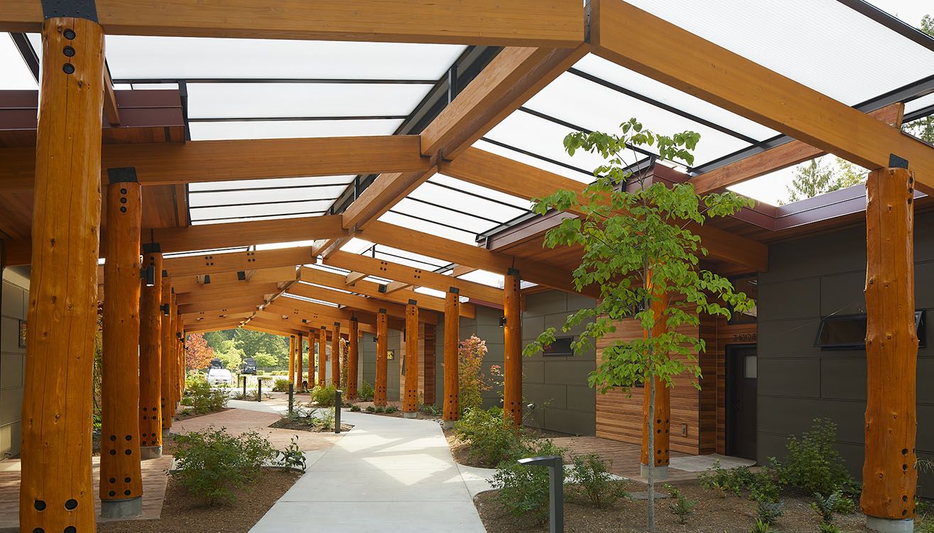 Covered walkway with timber posts and translucent roof panels