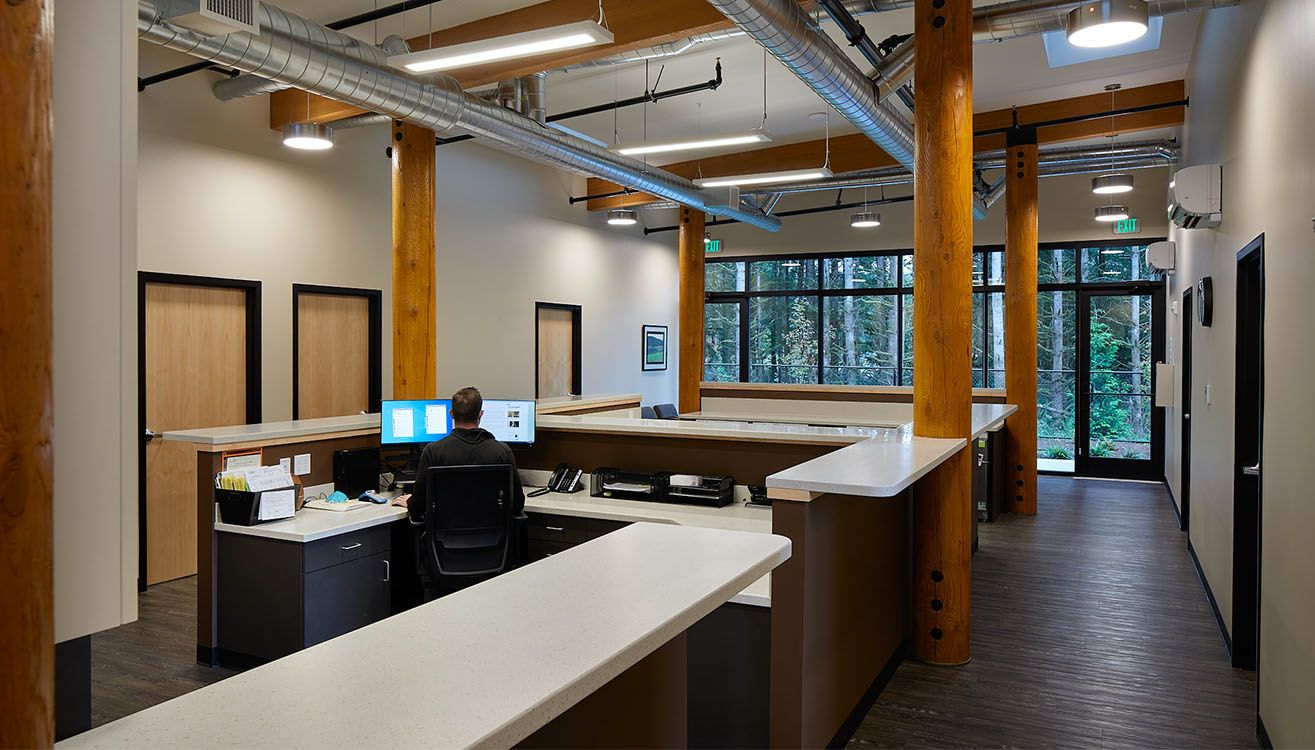 Wellness clinic reception with exposed timber framing