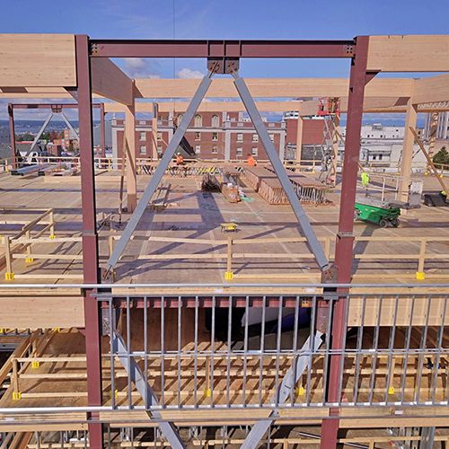 Steel bracing and timber framing inside the museum addition