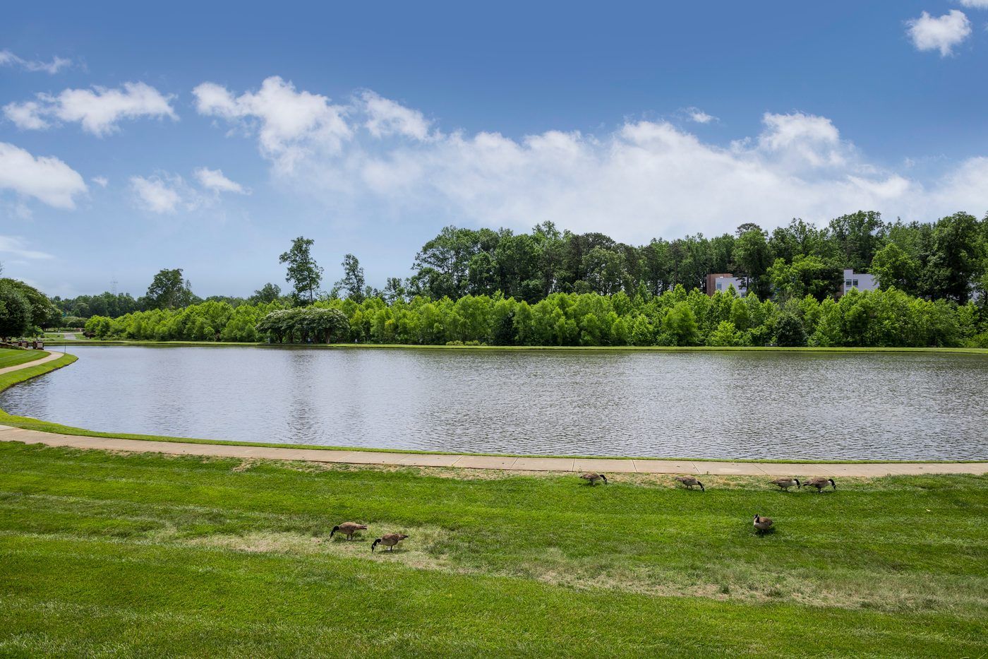 Lake at Daetwyler Plaza