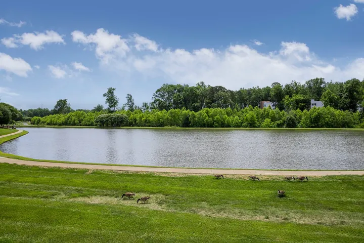 Lake at Daetwyler Plaza