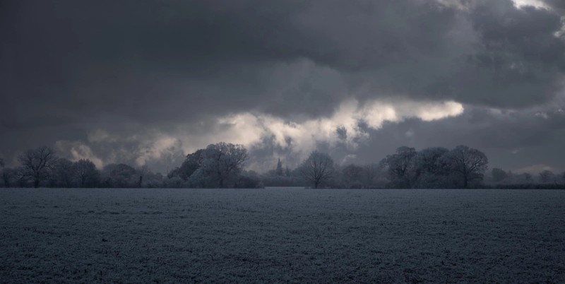 Winter Woods