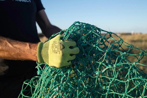 Gloved Hands, Green Net