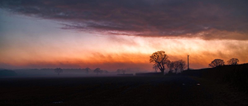 Suffolk countryside looking like Africa