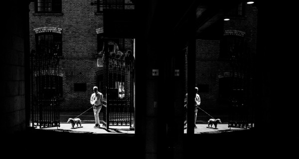 Man Walking Dog