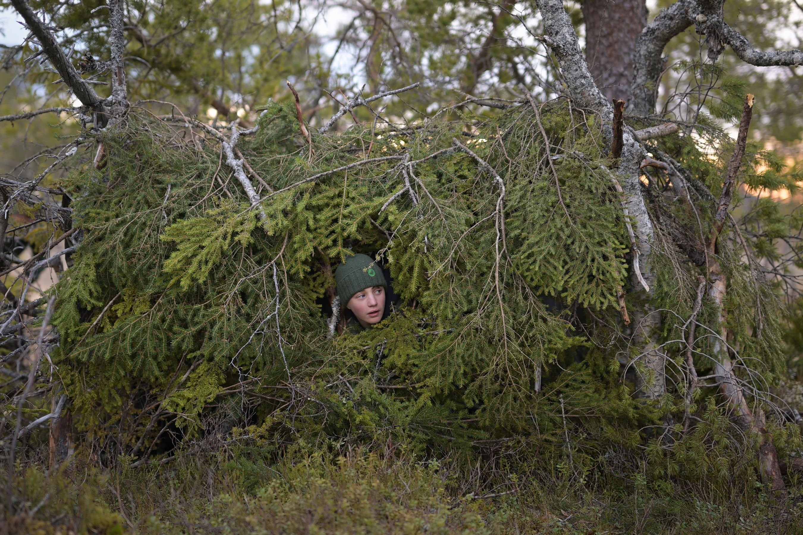 Skogens viskningar