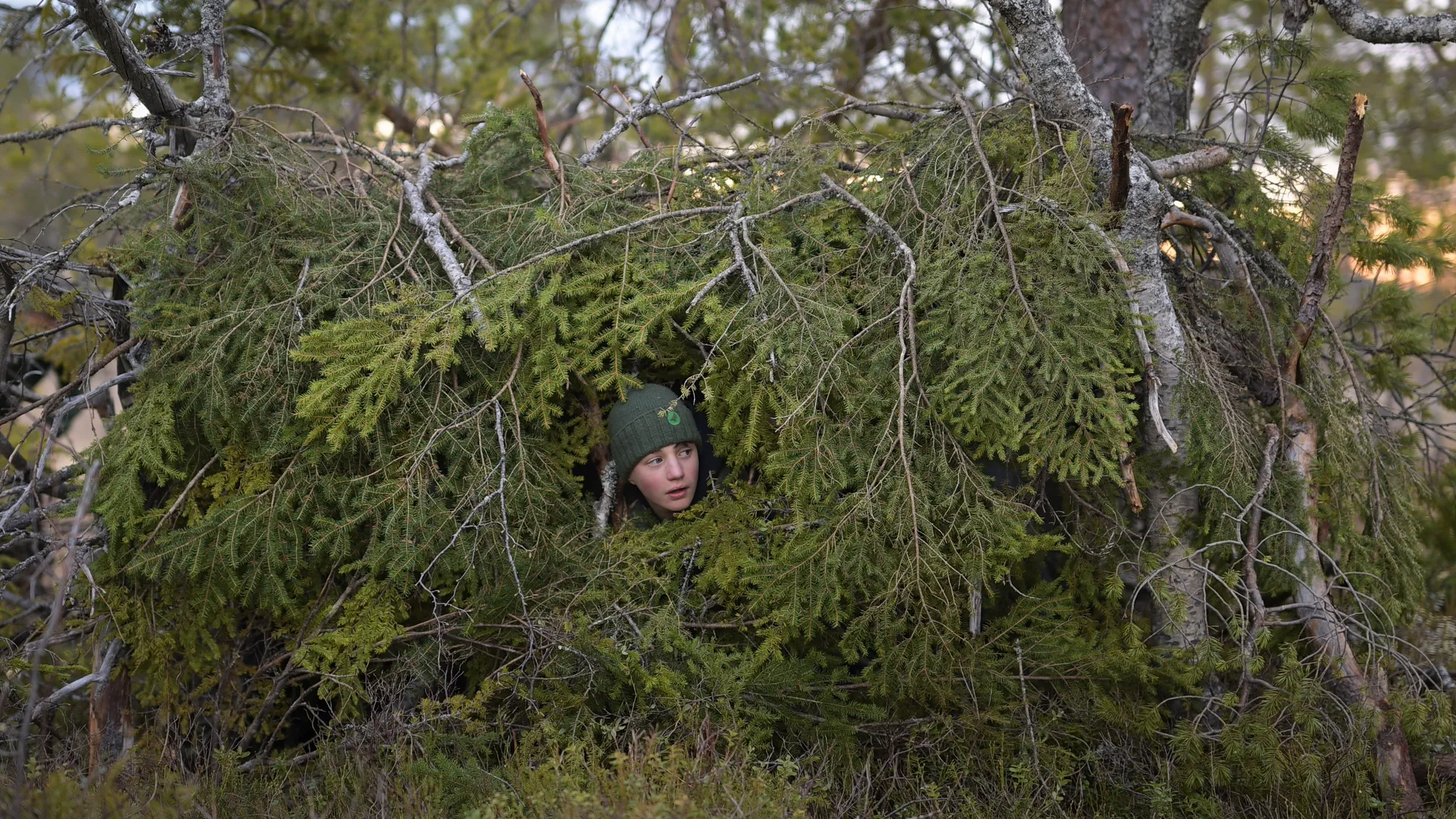 Skogens viskningar