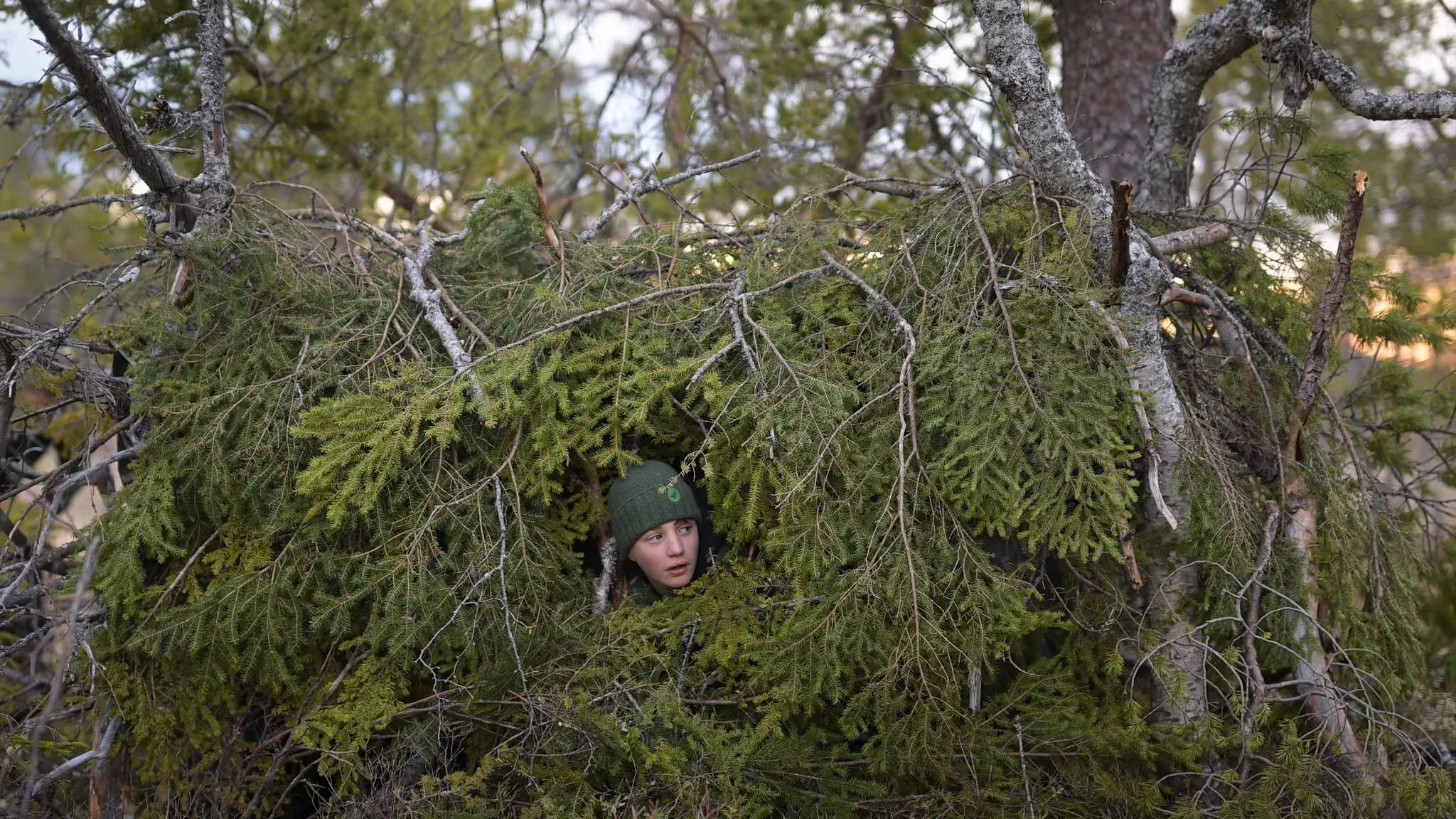 Skogens viskningar