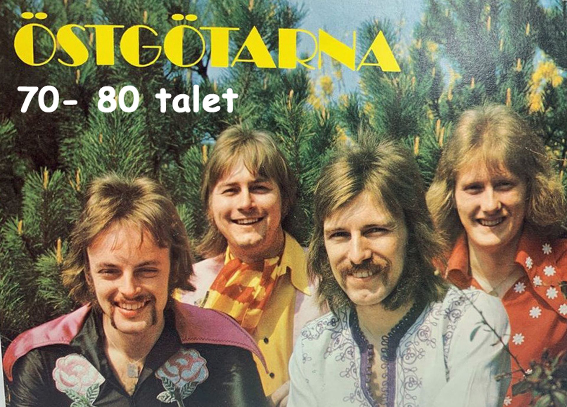 Dans & musik med Östgötarna