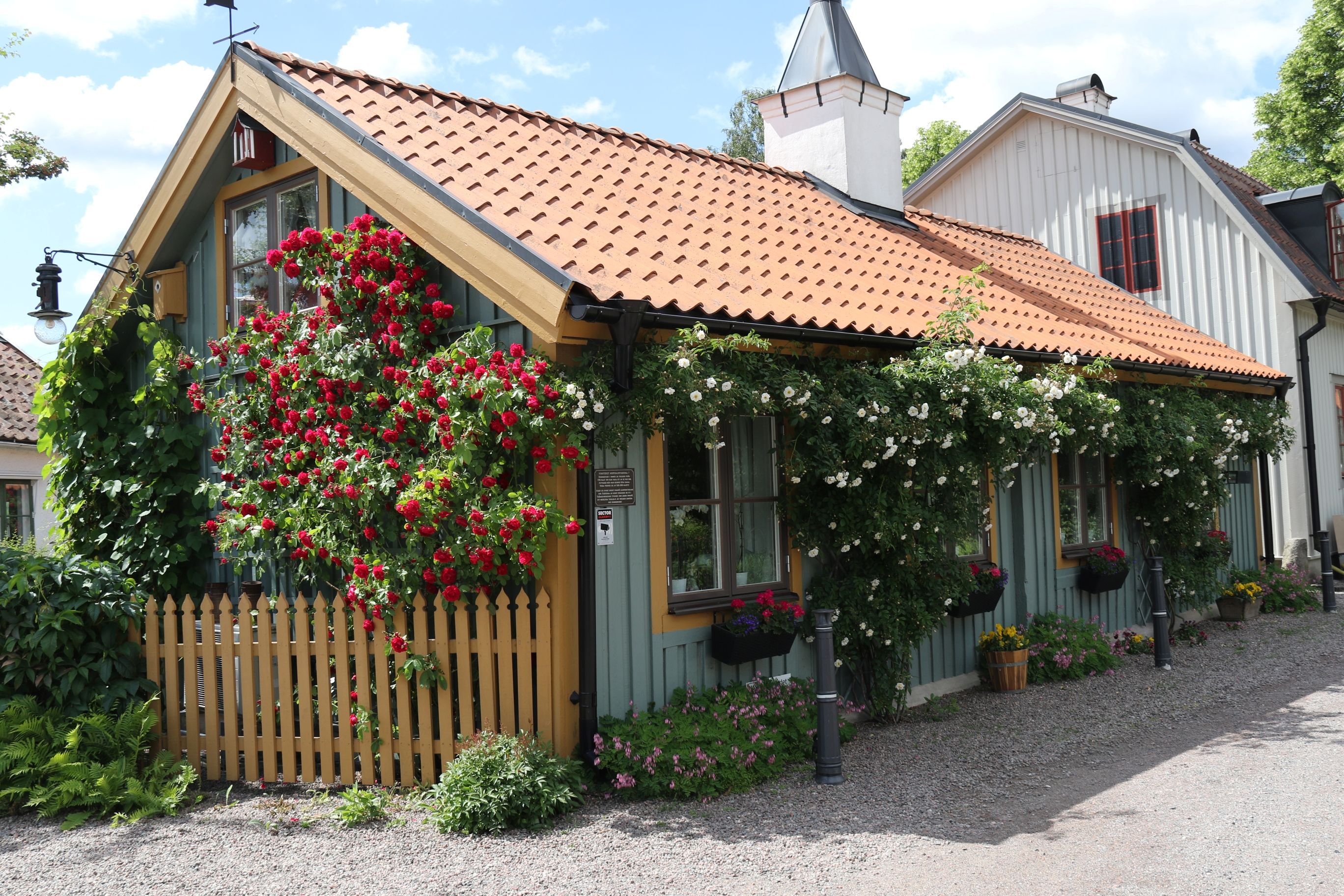 Sommarguidningar