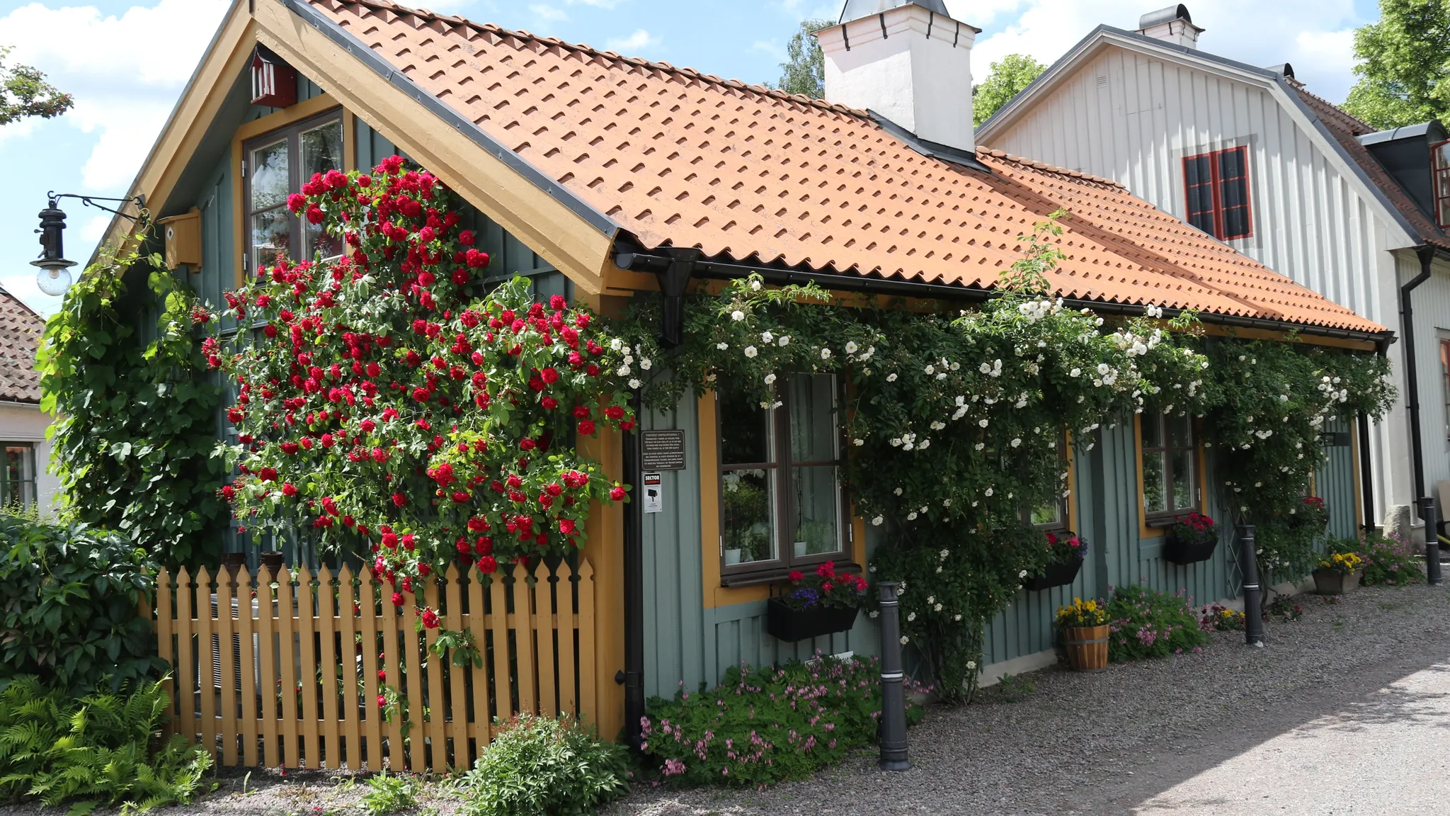 Sommarguidningar