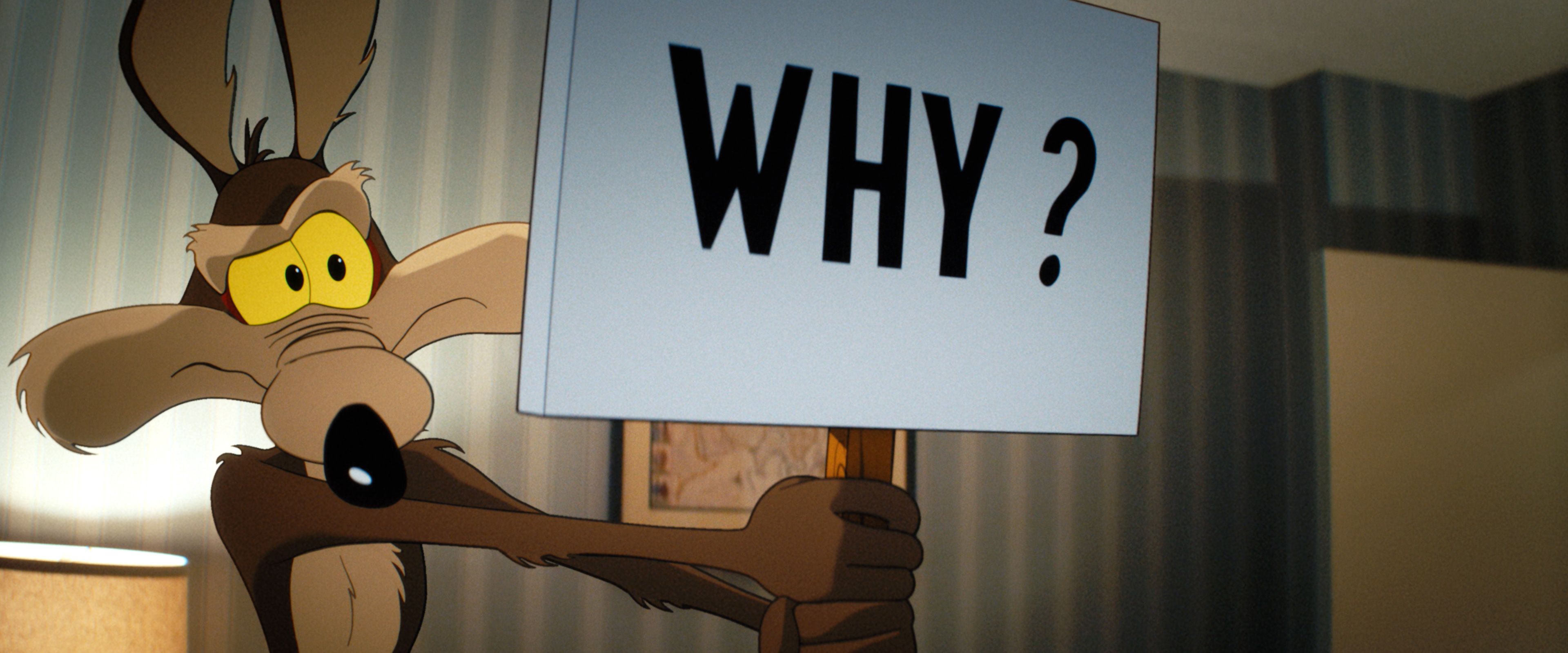 Coyote vs ACME