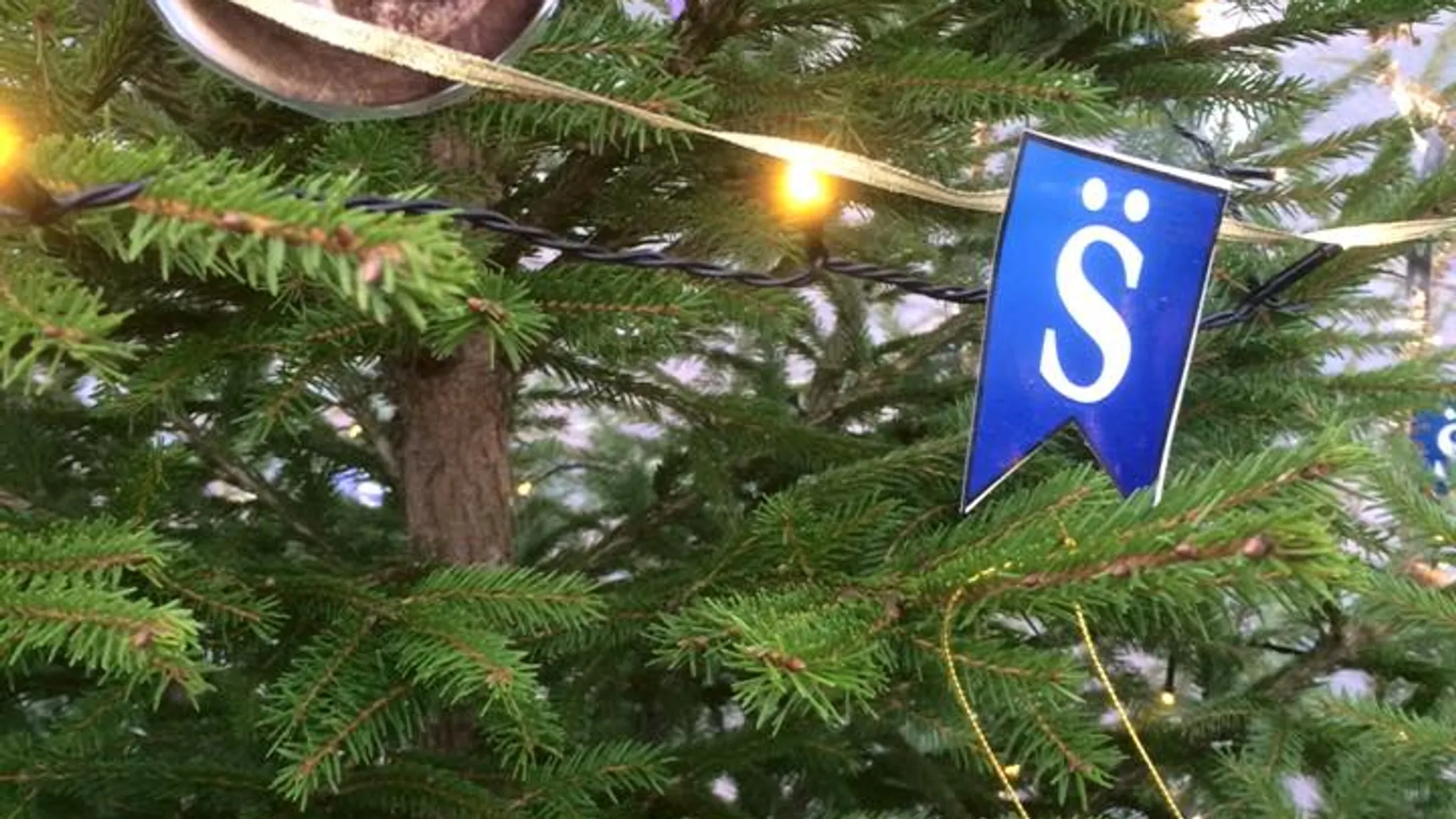 Julgran