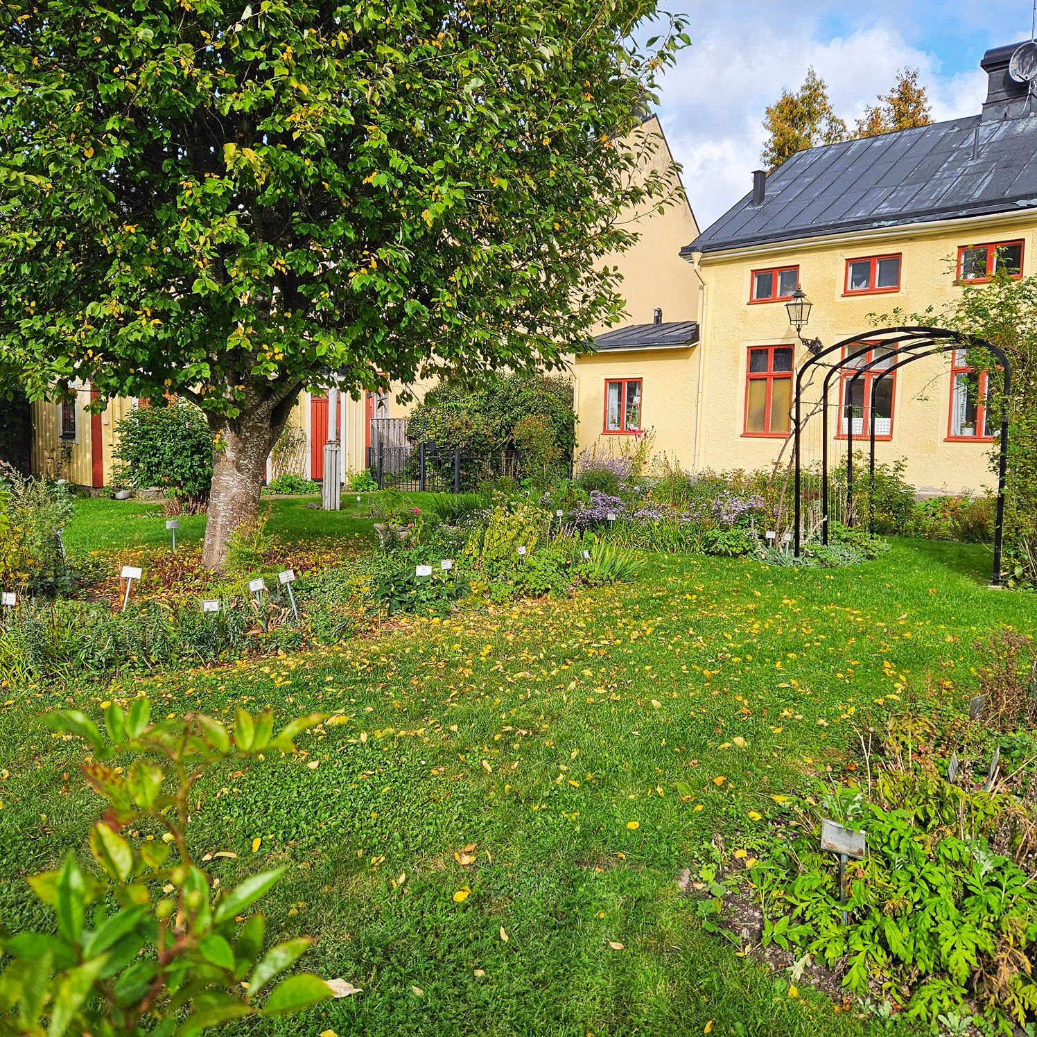 Höst i Örtagården