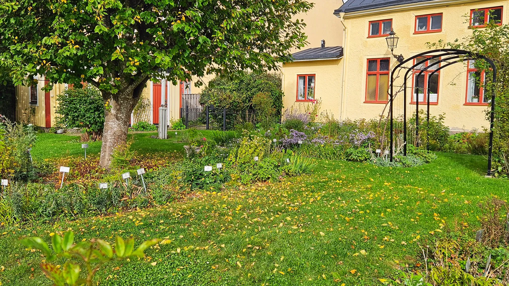 Höst i Örtagården