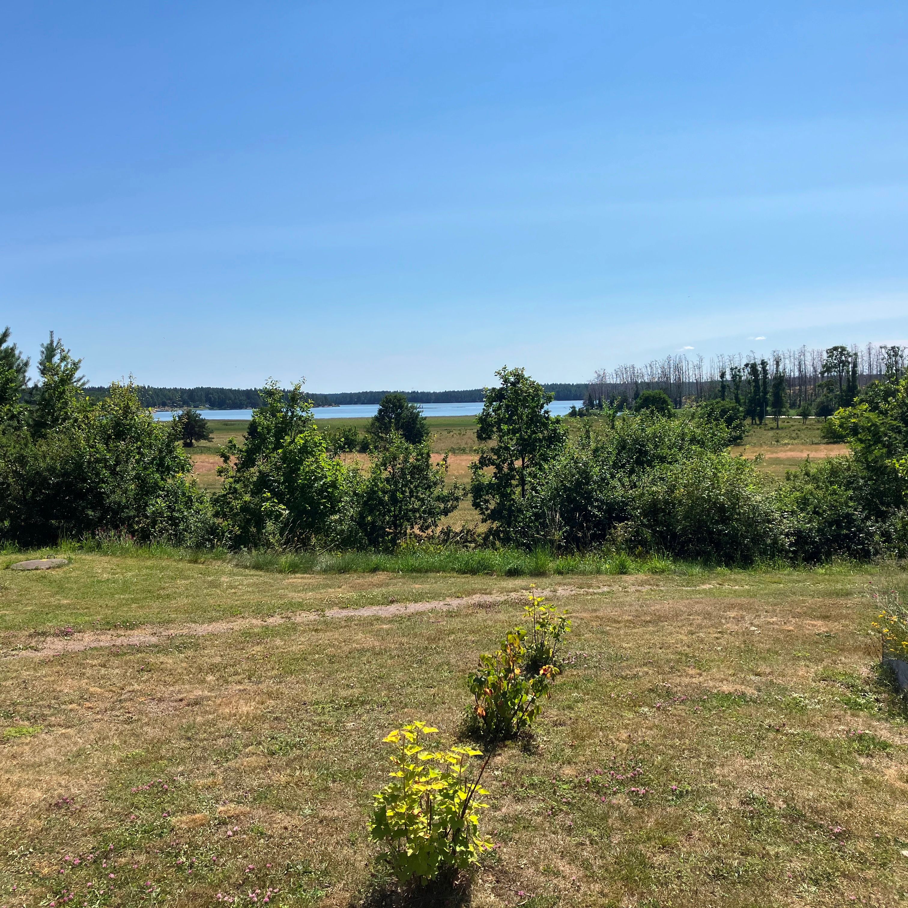 Fem lokala kreatörer i Edgards hus