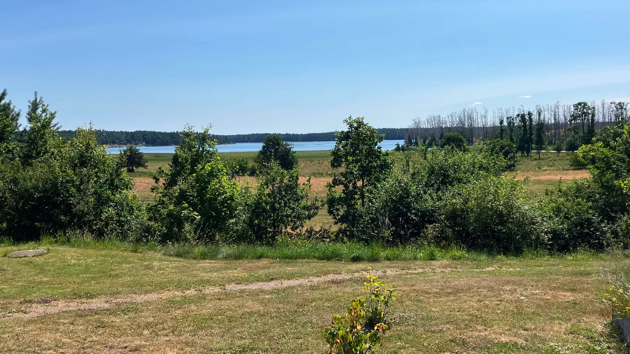 Fem lokala kreatörer i Edgards hus
